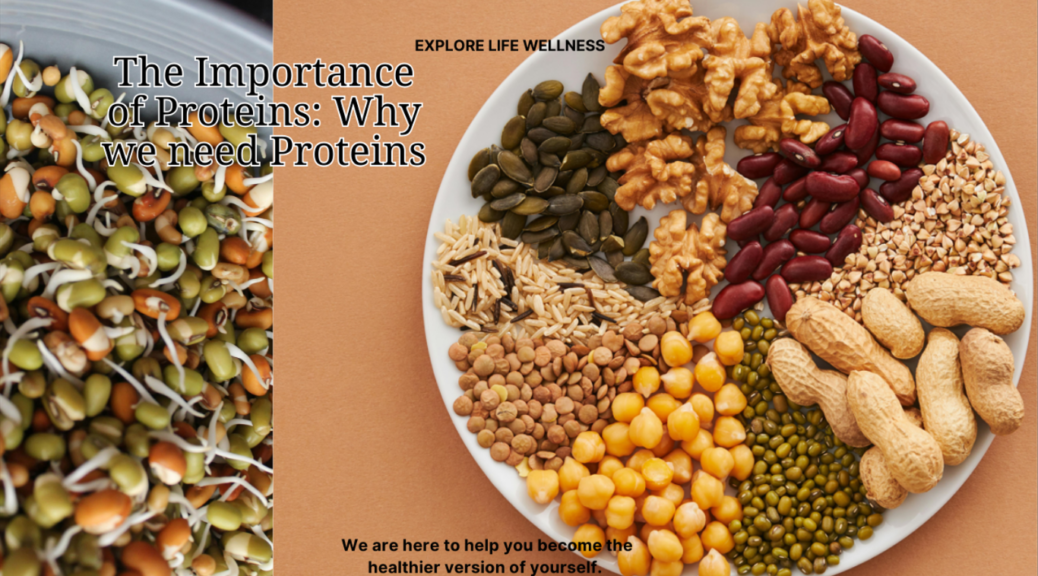 the-importance-of-proteins-why-we-need-proteins