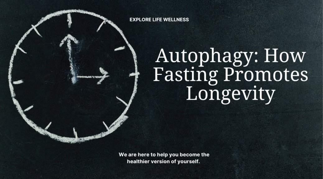 Autophagy: How Fasting Promotes Longevity